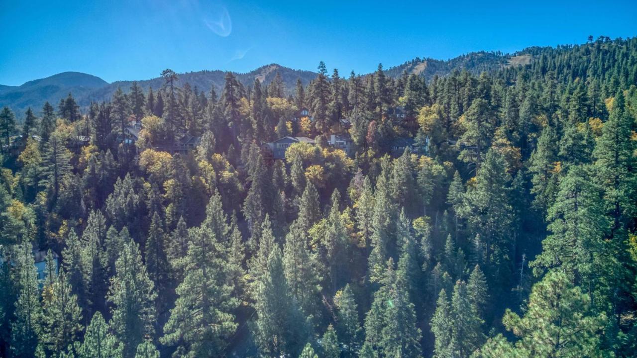 019 - Almost Heaven Βίλα Big Bear Lake Εξωτερικό φωτογραφία